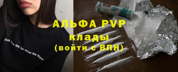 a pvp Коряжма
